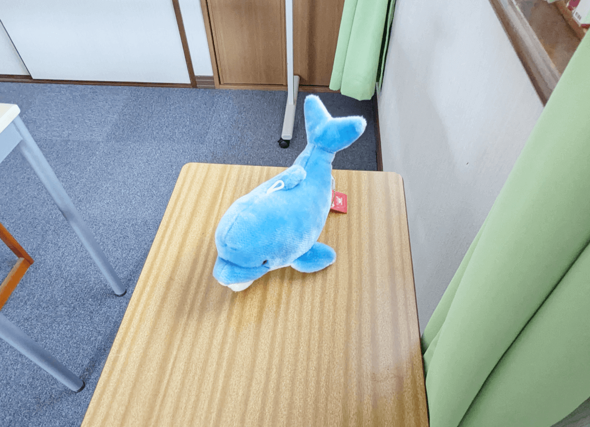 イルカ